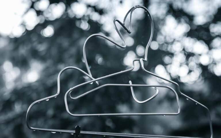 Come un semplice appendiabiti può aiutare gli uccelli a sopravvivere a quest’inverno?