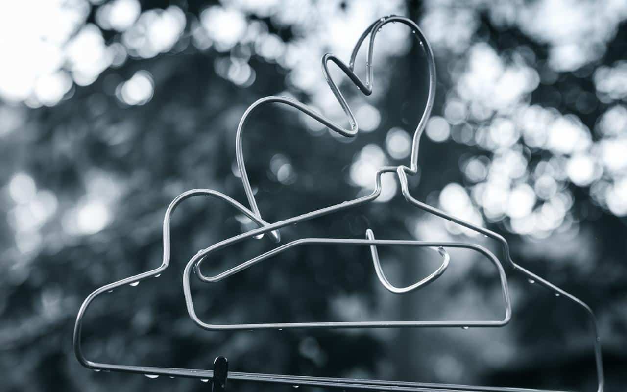 Come un semplice appendiabiti può aiutare gli uccelli a sopravvivere a quest'inverno?