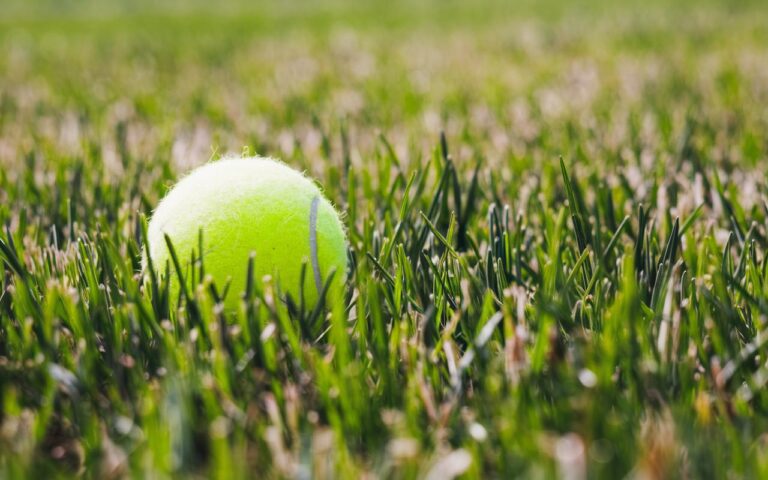 Giardinieri del Regno Unito invitati a prendere una pallina da tennis per un motivo