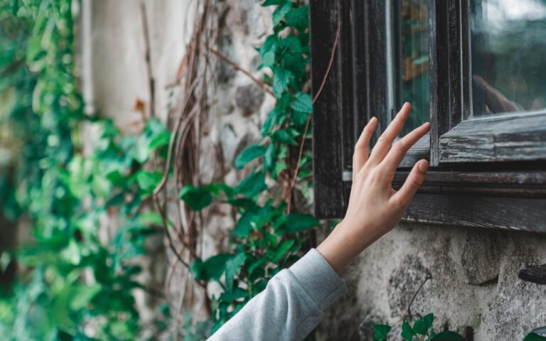 Piccolo giardino? Il trucco visivo dei paesaggisti per ingrandirlo in un batter d’occhio