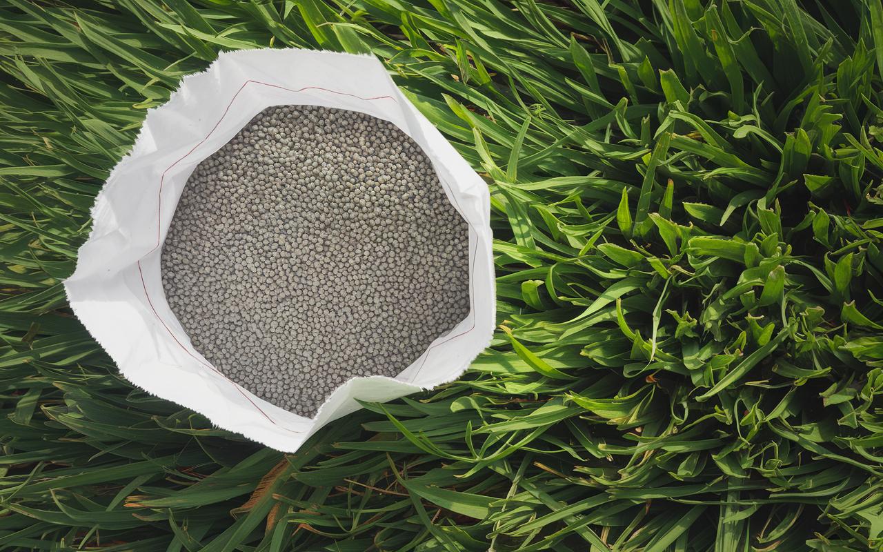 Calce, solfato di ferro o concime: quale polvere spargere a marzo per far rinverdire il prato