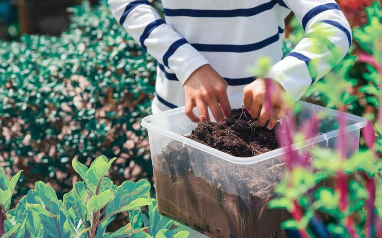 Fondi di caffè in giardino: 5 usi comprovati come fertilizzante, compost e repellente naturale
