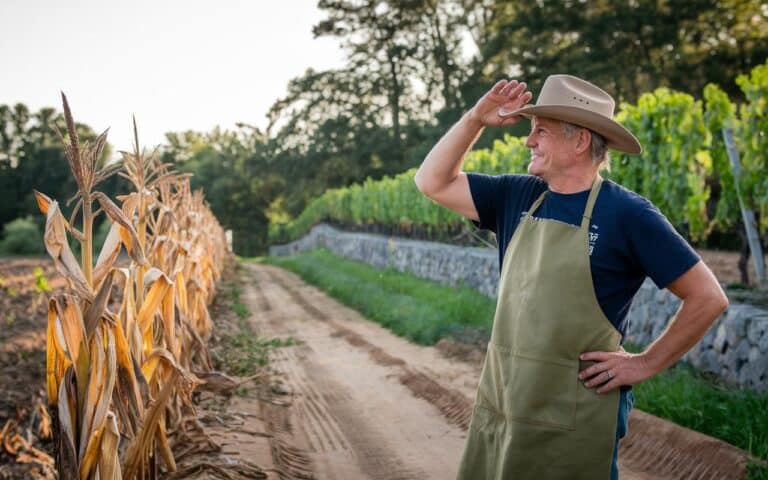 Perché l’ombra parziale protegge i giardini durante il caldo estremo: cosa raccomandano gli orticoltori