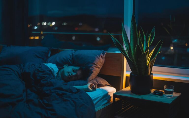 Studio NASA sull’aria pulita: quali piante da appartamento migliorano la qualità dell’aria in camera da letto e il sonno